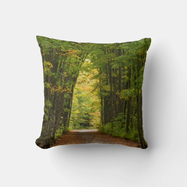 Coussin Lumière au bout d'un tunnel d'arbres (Recto)