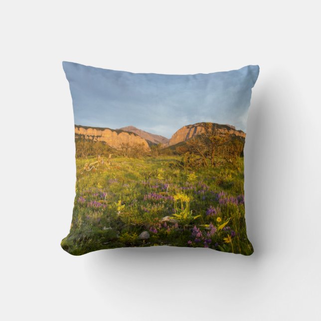 Coussin Lumières du lever du soleil Blackleaf Canyon (Recto)