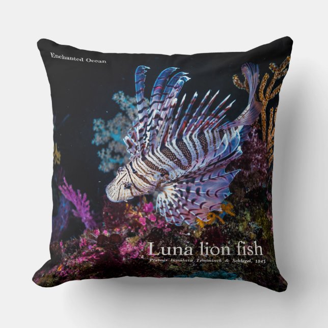 Coussin Luna lion fish, Pterois lunulata, (Recto)