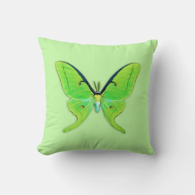 Coussin Luna moth sur un arrière - plan vert pâle (Recto)