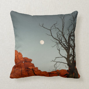 Coussin Lune mauvaise