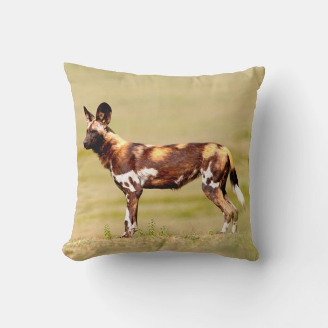 Coussin Lycaon Pictus Debout (Recto)