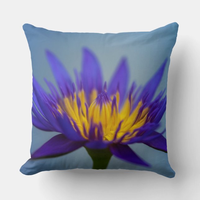 Coussin Lys d'eau violet (Recto)