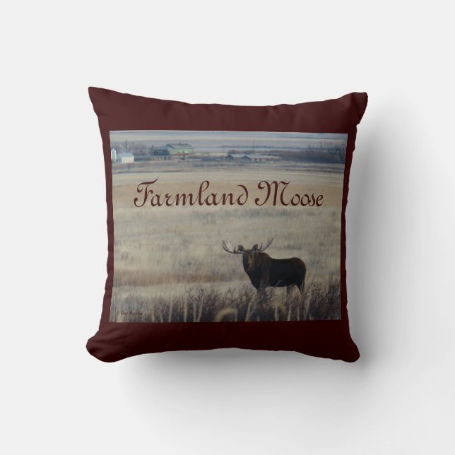 Coussin M3 Orignal dans les terres agricoles (Recto)