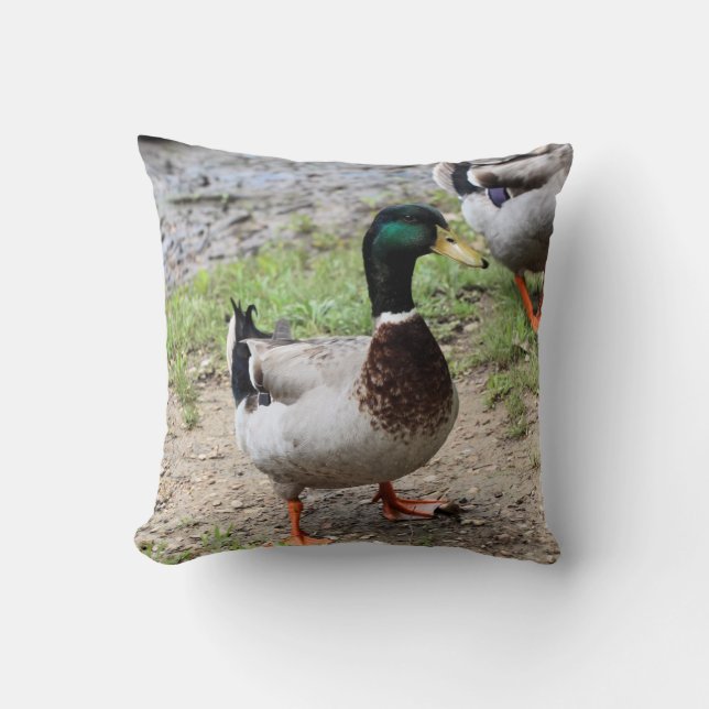 Coussin M. Canard (Recto)