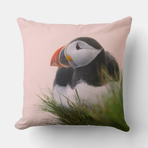 Coussin Macareux atlantique (Fratercula arctica)