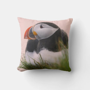 Coussin Macareux atlantique (Fratercula arctica)