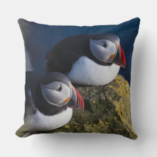 Coussin Macareux atlantique (Fratercula arctica) 7