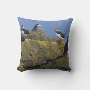 Coussin Macareux atlantiques (Fratercula arctica) sur une 