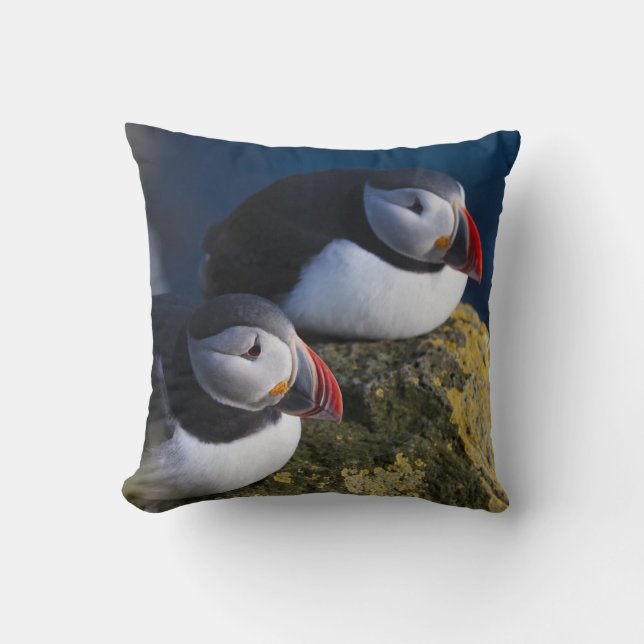 Coussin Macareux moine (Recto)