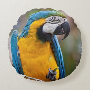Coussin Macaw bleu et jaune