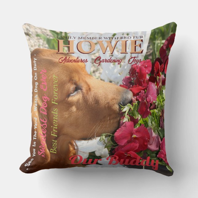 Coussin Magazine Styled Pet (Recto)