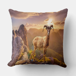 Coussin Magnifique Antelope