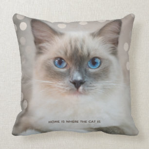 Coussin Magnifique chat Ragdoll & texte modifiable