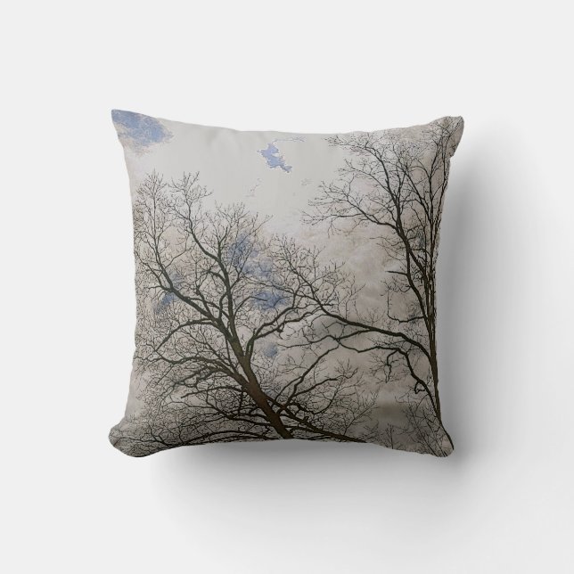 Coussin Magnifique paysage sauvage de la nature (Recto)