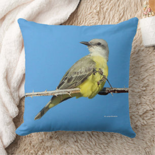 Coussin Magnifique Tropical Kingbird sur Blackberry Branch
