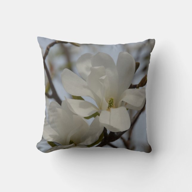Coussin Magnolia Blanche fleurissant dans l'oreiller de pr (Recto)
