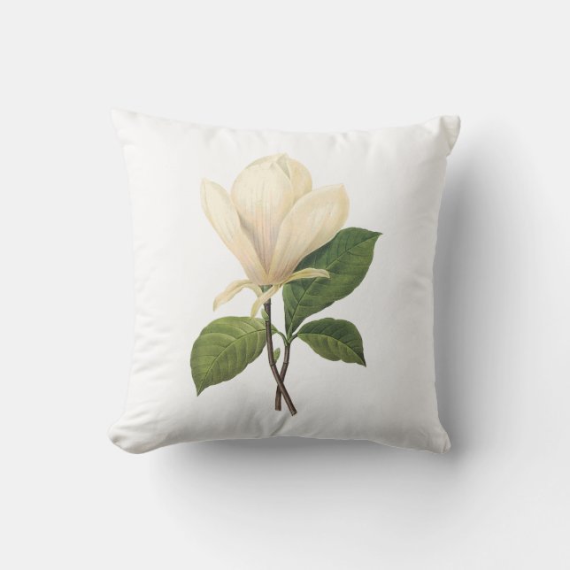 Coussin magnolia de soucoupe (soulangiana de magnolia) par (Recto)