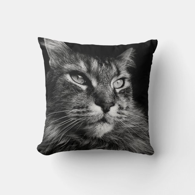 Coussin Maine Coon Cat 16 x 16 (Recto)