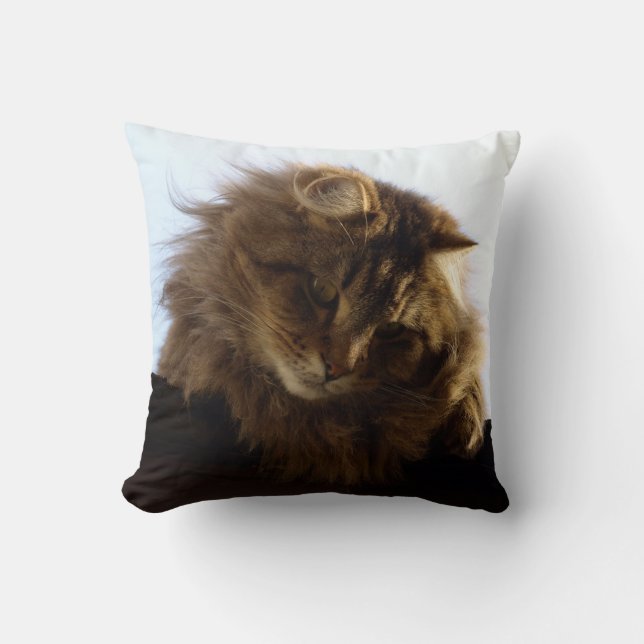 Coussin Maine Coon cheveux longs Tabby Cat (Recto)