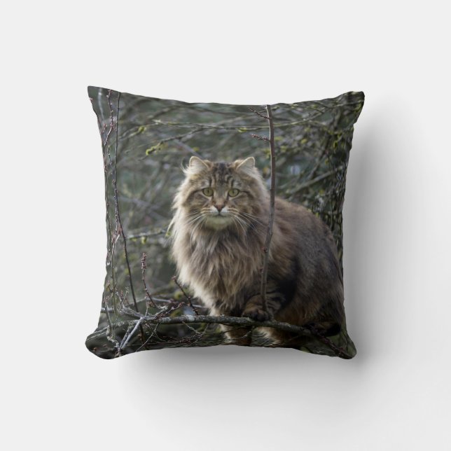 Coussin Maine Coon cheveux longs Tabby Chat Animal Animal  (Recto)