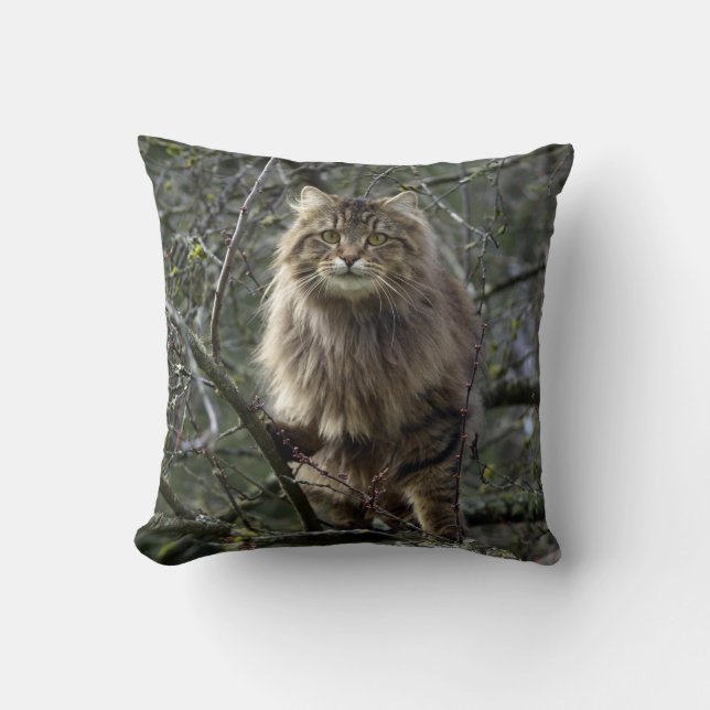 Coussin Maine Coon cheveux longs Tabby Chat Animal Animal  (Recto)