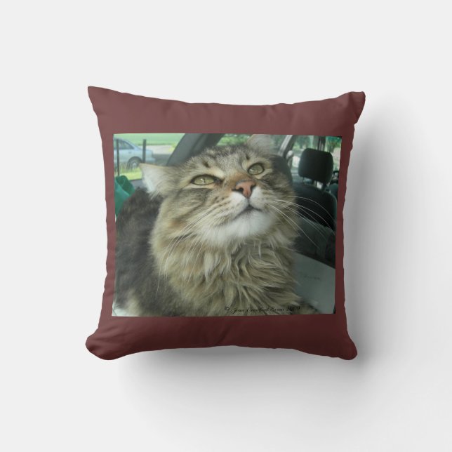 Coussin Maine Coon kitty (Recto)