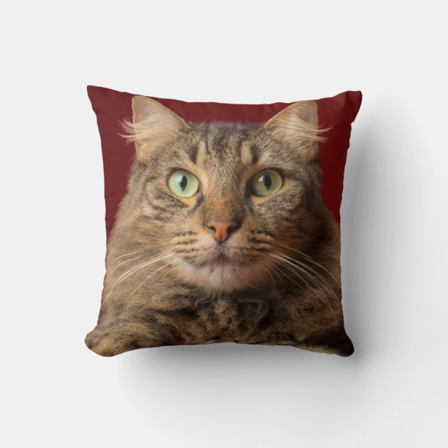 Coussin Maine Coon pour Noël avec collectionneur (Recto)