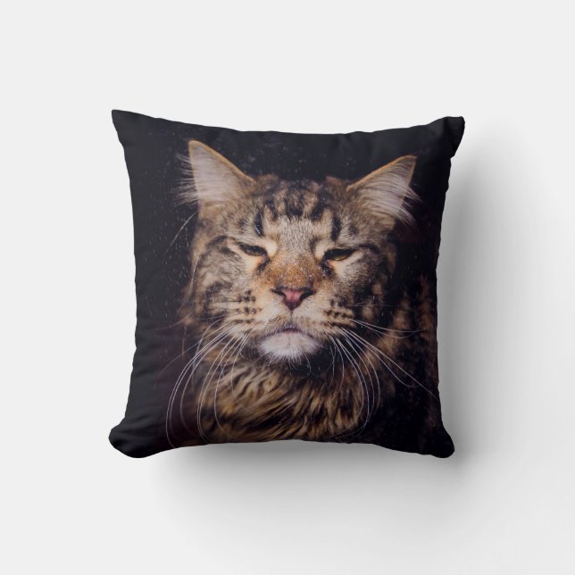 Coussin maine coon sur un arrière - plan noir (Recto)