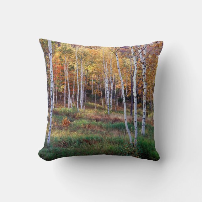 Coussin Maine, Parc national de l'Acadia, automne (Recto)