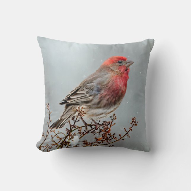 Coussin Maison Finch en Neige - Photo originale (Recto)