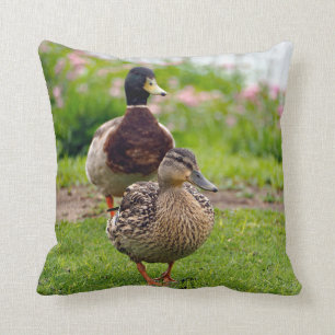 Coussin Mallard 116