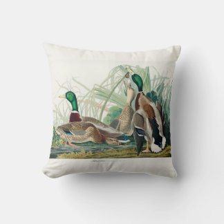 Coussin Mallard Duck, 1834, From the Birds of America
