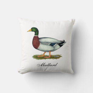 Coussin Mallard Duck Drake