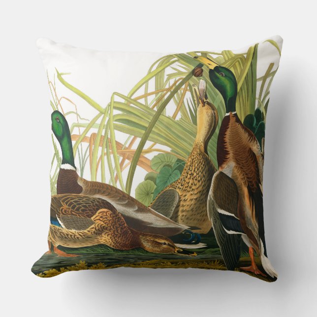 Coussin Mallard Duck par John James Audubon (Recto)
