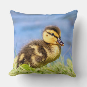 Coussin Mallard Duckling