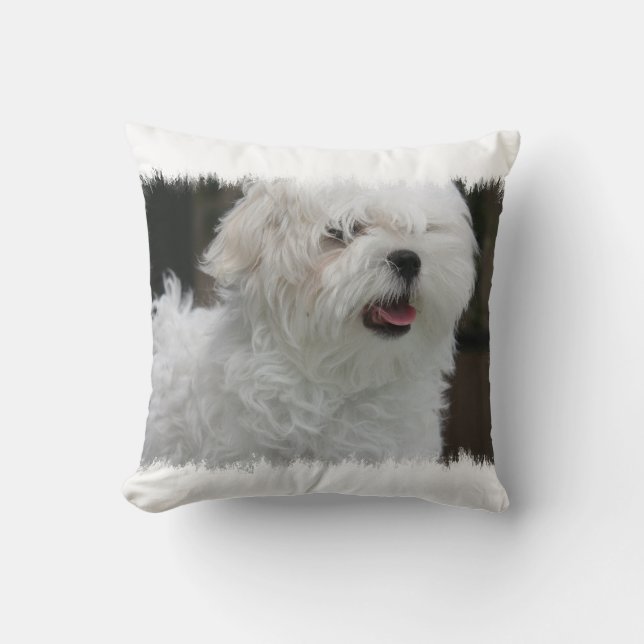 Coussin maltais blanc de chiot (Recto)