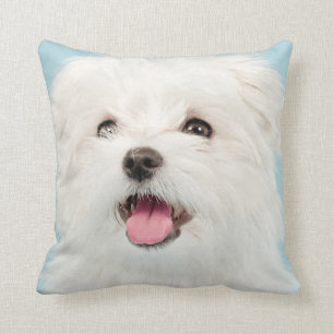 Coussin maltais de chiot