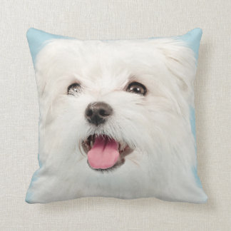 Coussin maltais de chiot