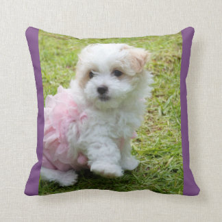 Coussin maltais mignon de jet de Poodl
