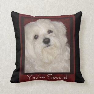 Coussin Maltais "vous êtes" Coussin-Blancs