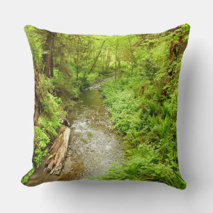 Coussin Man Creek II perdu dans le parc national Redwood