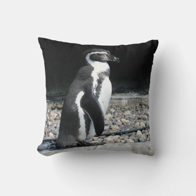 Coussin Manchot unique (Recto)