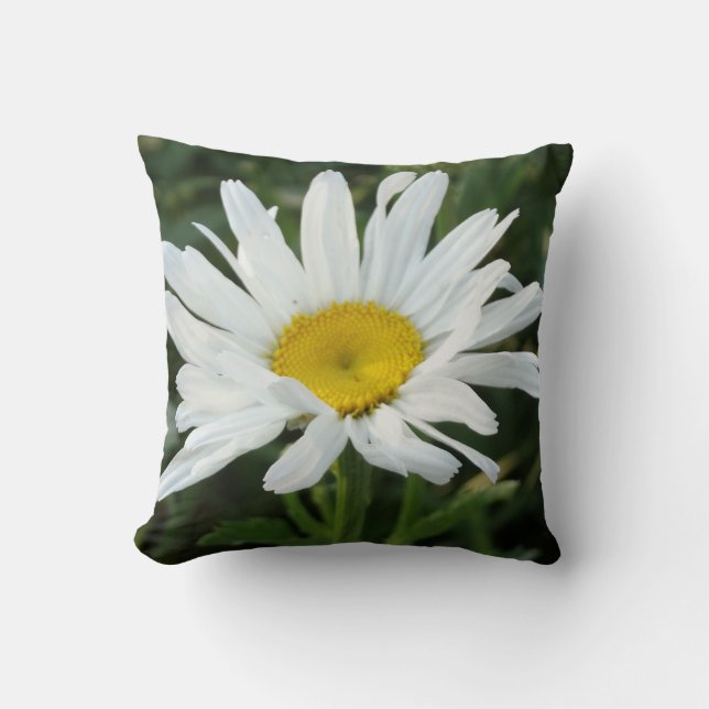 Coussin marguerite blanc moderne (Recto)