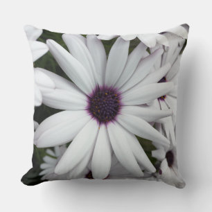 Coussin Marguerite blanche en gros plan