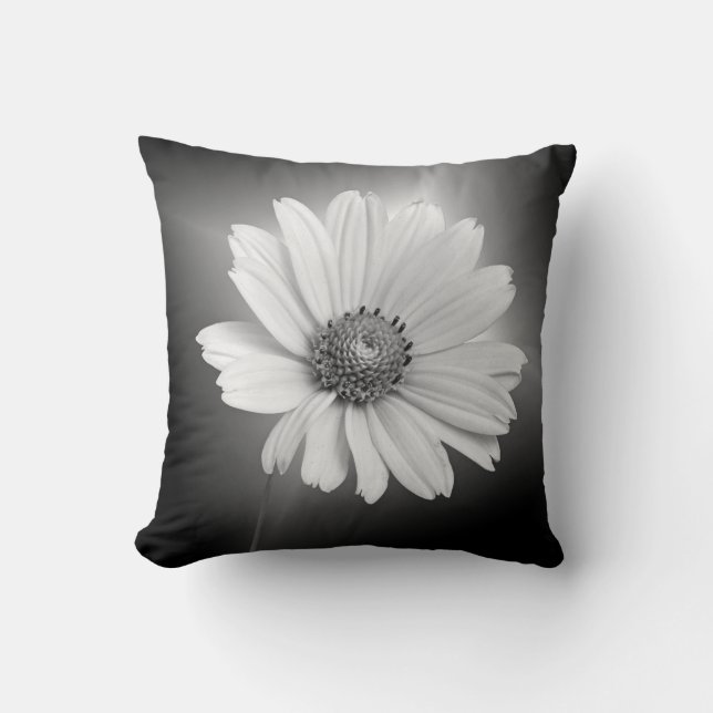 Coussin Marguerite blanche lumineuse sur fond noir (Recto)