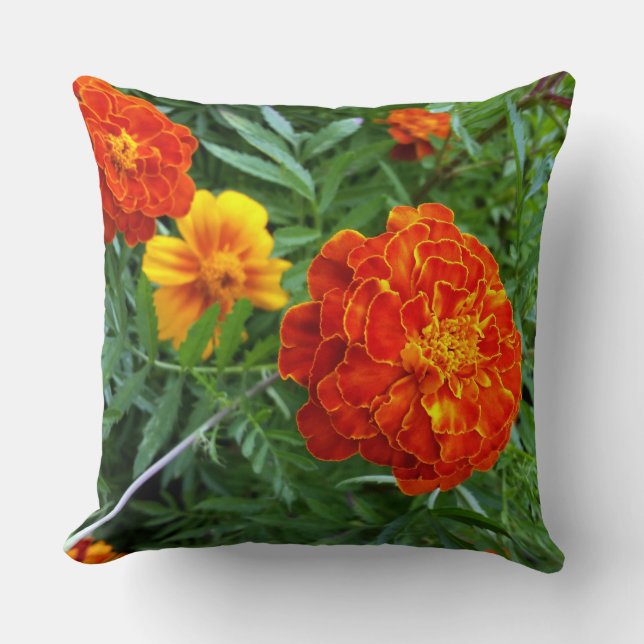 Coussin marigold (Recto)