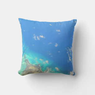 COUSSIN MARINE CARRIBÉENNE JETER UN COUP D'OEIL