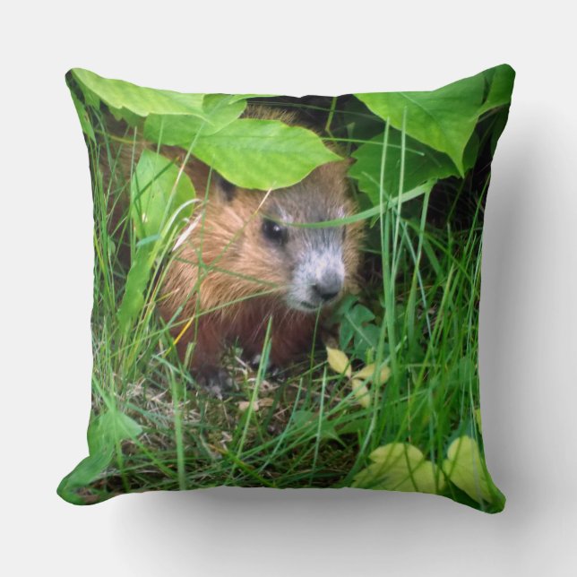 Coussin Marmotte Murmeltier de marmotte marmite (Recto)