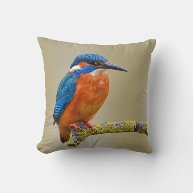 Coussin Martin-pêcheur étant perché (Recto)